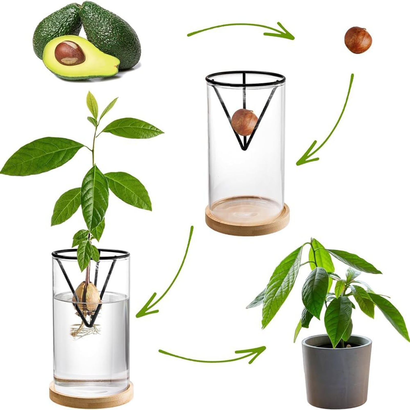 1Set Avocado Tree Growing Kits - Crystal Growing Kit recension och pris