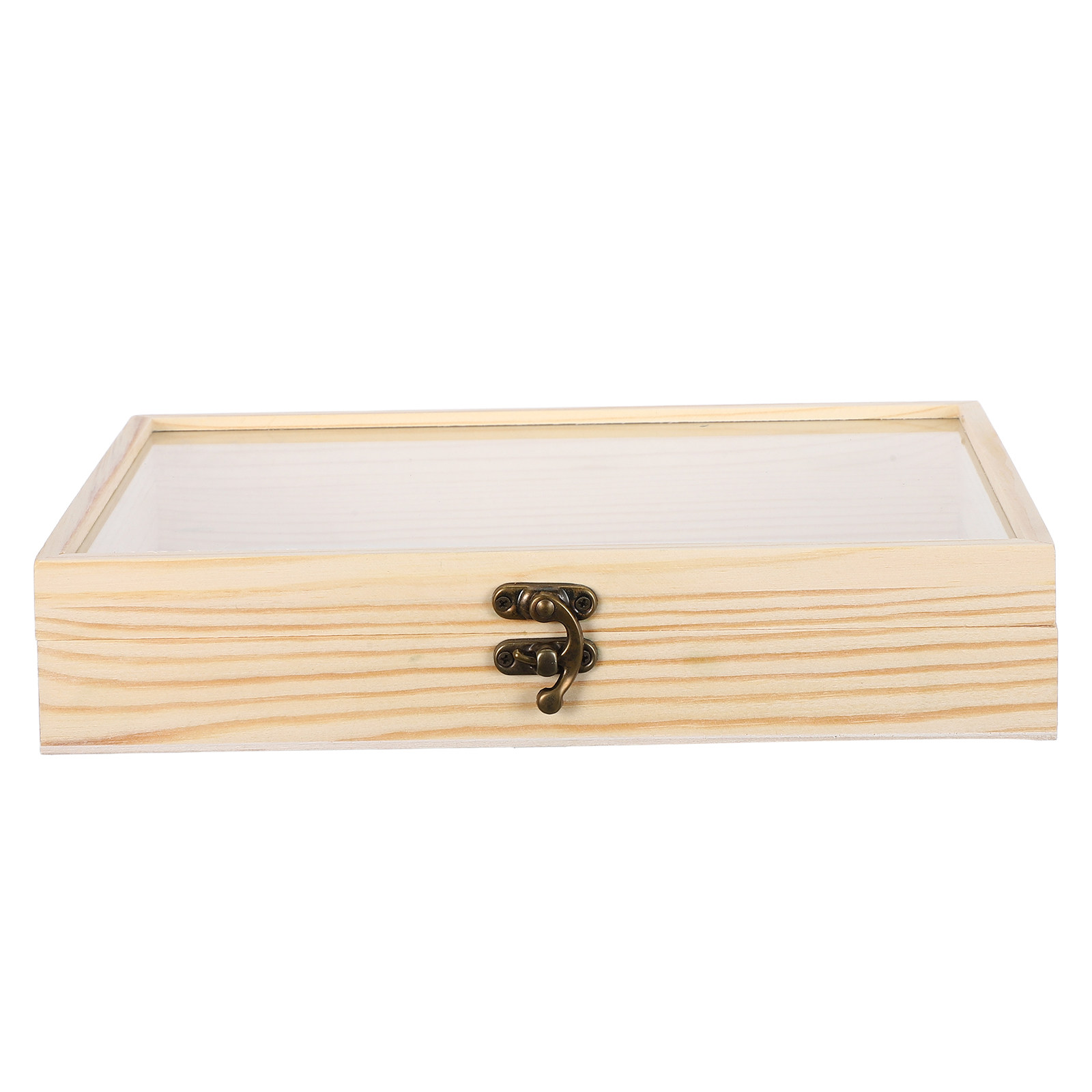 Solid Wood Insect Specimen Dis - Science Project recension och pris
