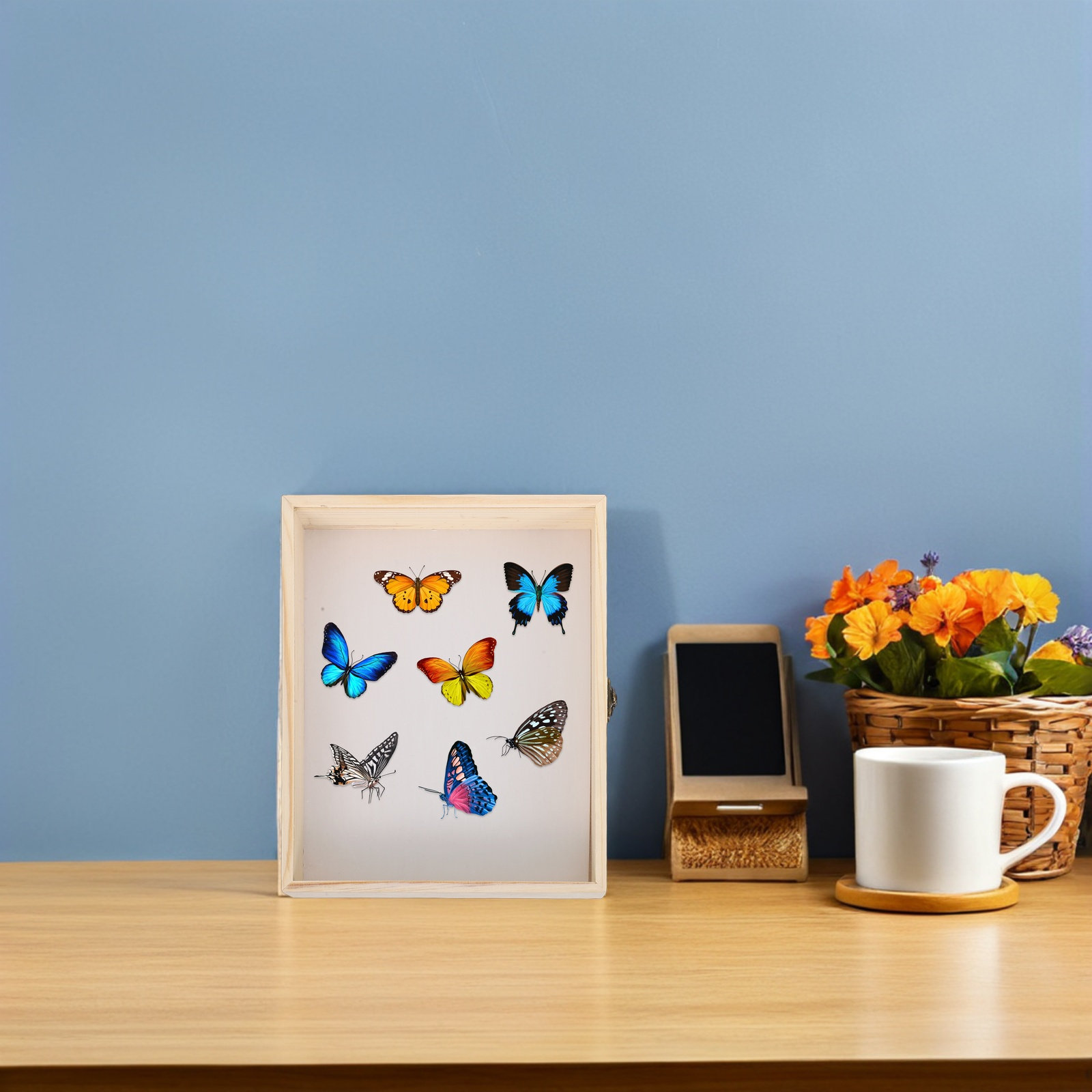 Solid Wood Insect Specimen Dis - Science Project recension och pris