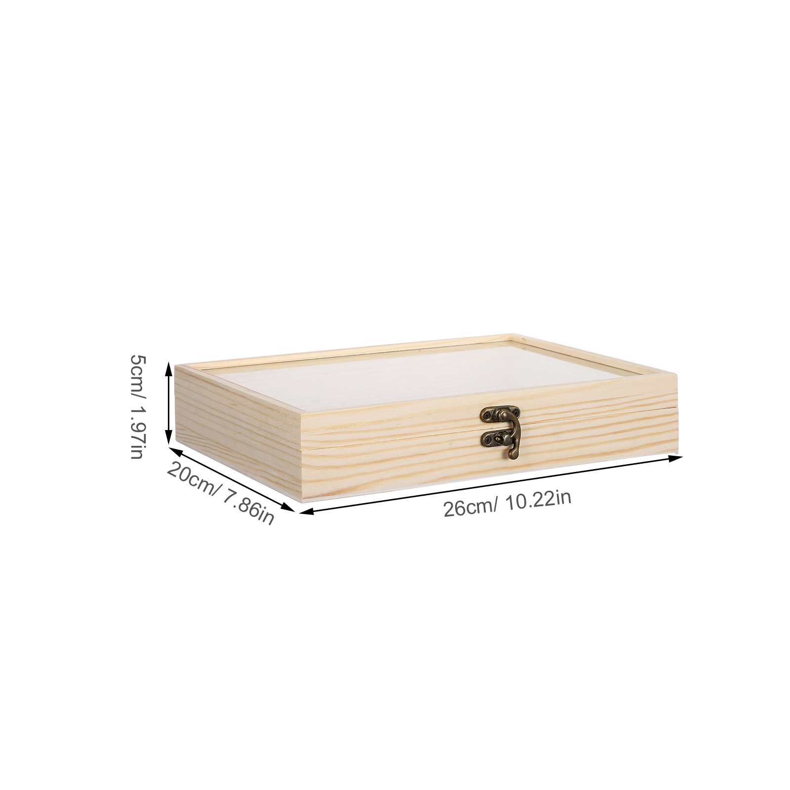 Solid Wood Insect Specimen Dis - Science Project recension och pris