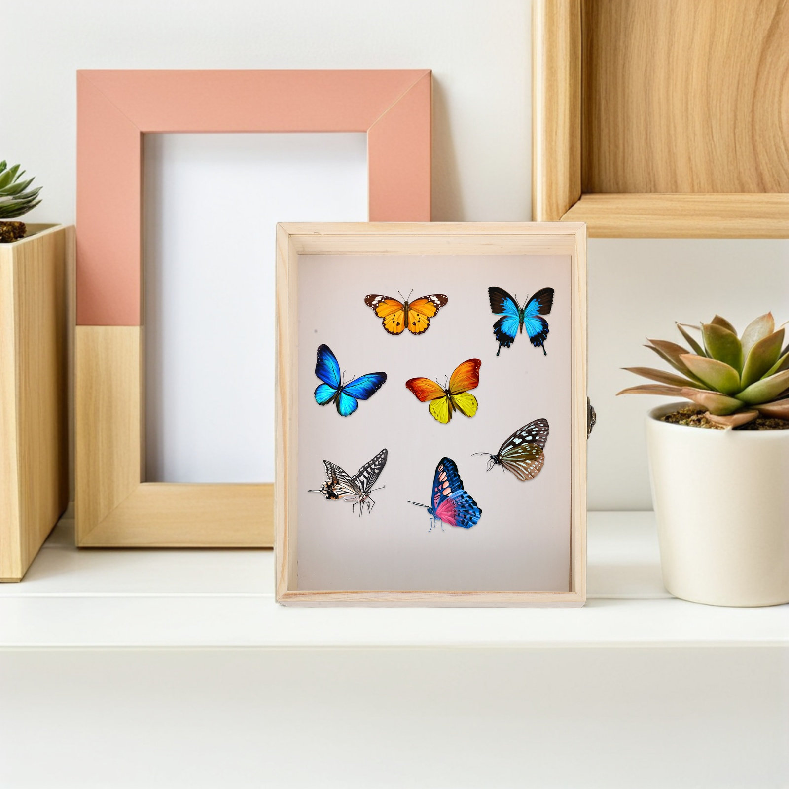 Solid Wood Insect Specimen Dis - Science Project recension och pris
